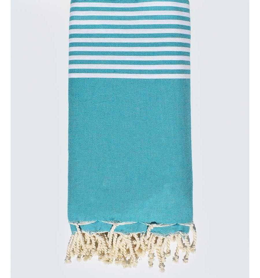Blue Munsell throw Fouta Tunisia - 1