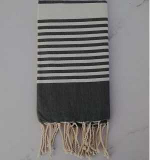 Arthur arctic green fouta 