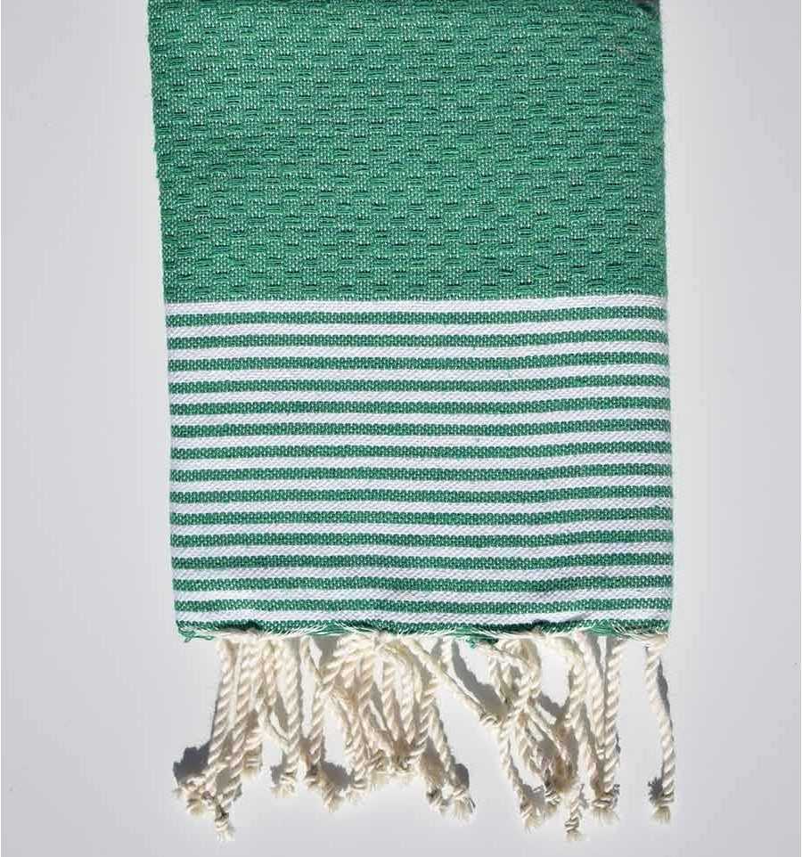 Set of 10 green napkins with stripes Fouta Tunisia - 1